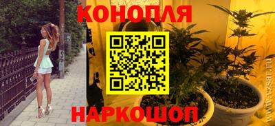 спиды Пугачёв